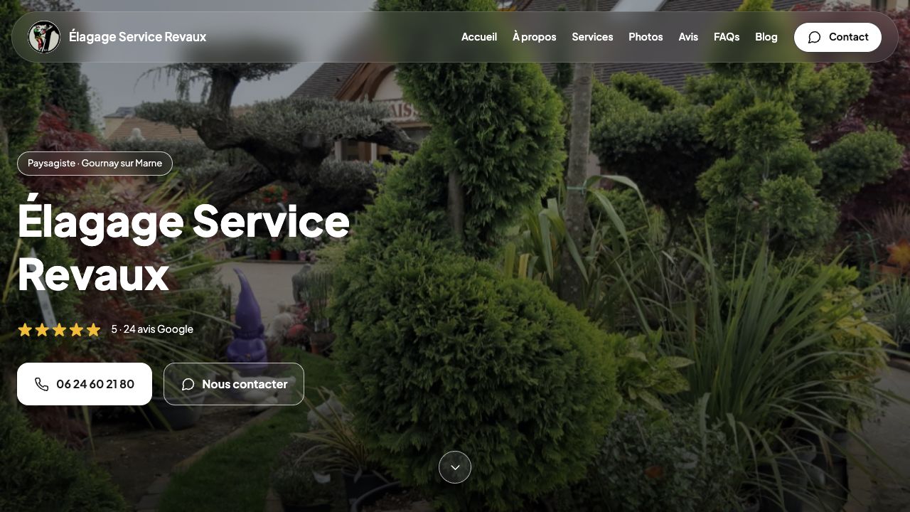 Site web publié d’Élagage Service Revaux sur OptiPage